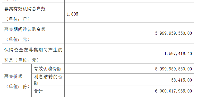 年末债券基金热销潮:解读市场动向与未来展望