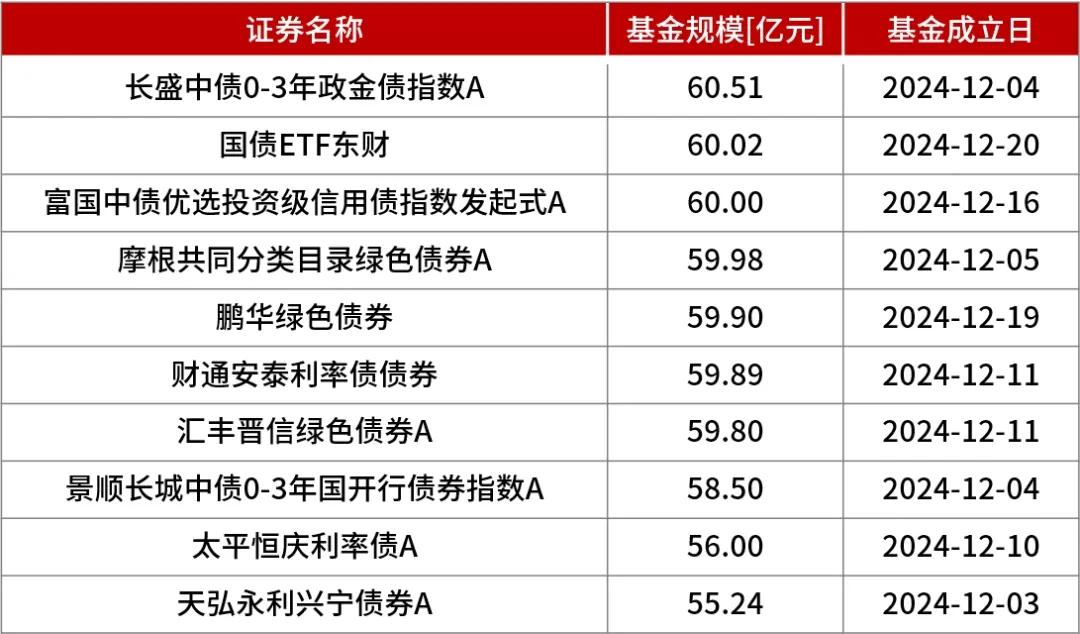 年末债券基金热销潮:解读市场动向与未来展望